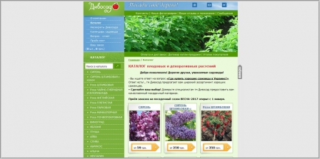 Дивосад - интернет магазин саженцев