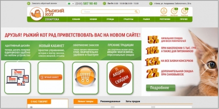 Рыжий Кот