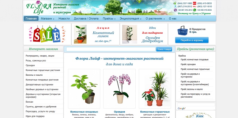 Купить Цветы Почтой Интернет Магазин