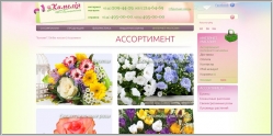 Камелия - интернет магазин цветов